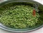 酸豆角，在家做简单卫生好吃的做法图解2