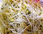 豆芽粉丝-夏天爱吃的凉拌菜的做法步骤2