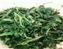 凉拌野菜的做法图解2