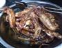 干锅鹅翅的做法图解7