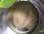 海绵蛋糕的做法图解7