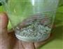 香蕉燕麦杯子蒸蛋糕的做法图解3