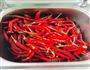 自制简单湖南剁辣椒的做法图解1