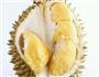 榴莲酥的做法图解1