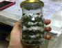 薄荷糖-夏日清凉冷饮必备的做法图解3