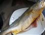清蒸黄花鱼的做法图解1