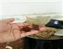 卤鸭肉饭的做法图解8