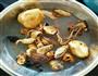 杂菌鸡汤的做法图解1