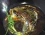 豆豉风味昂刺鱼的做法图解6