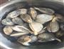 水煮花蛤的做法图解1