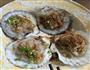 粉丝扇贝的做法图解4