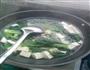 青菜豆腐汤的做法图解4