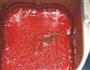 西红柿酱的做法图解5