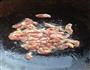 黄瓜炒肉肉的做法图解7