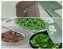 苦瓜焖豆角的做法图解3