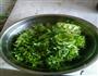 凉拌苦菊的做法图解8