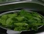 蒜蓉青菜的做法图解1