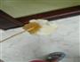 苹果冰棍的做法图解6