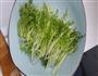 凉拌苦菊的做法图解1