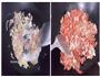 番茄肉末双蛋浓汤的做法图解4