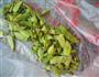 五香水煮毛豆的做法图解2