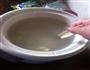 百合绿豆粥的做法图解5