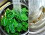 韩式清拌菠菜的做法图解3