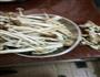 黑木耳、竹丝鸡香焖茶树菇的做法图解3