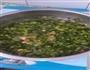 白菜猪肉饺子的做法图解7