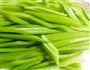 培根烧芹菜的做法图解1