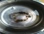 红枣银耳羹的做法图解1