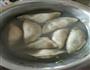薯粉饺子的做法图解8