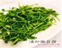 清炒豌豆苗的做法图解3