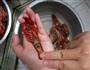 小龙虾的做法图解3