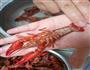 小龙虾的做法图解4