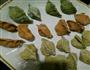 彩色面点  包子饺子面条来聚餐的做法图解9