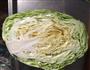 炝拌圆白菜的做法图解1