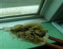 饺子的做法图解14