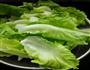 水煮鳝鱼的做法图解4