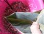 端午节粽子的做法图解14