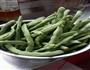 培根四季豆的做法图解1