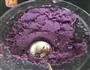 紫薯馅饼的做法图解9