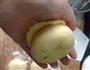 美味菠萝包的做法图解16
