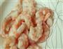灰灰的黄瓜虾仁的做法图解4