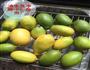 老黄糖顿柠檬的做法图解1