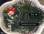 凉拌青瓜海带的做法图解2