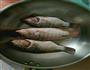 酱油水鱼的做法图解3