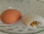 营养鸡蛋饼的做法图解6
