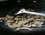 紫苏爆炒鸭肉的做法图解6