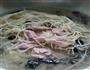 瘦肉绿豆芽汤的做法图解4